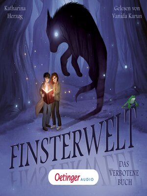 cover image of Finsterwelt 1. Das verbotene Buch
